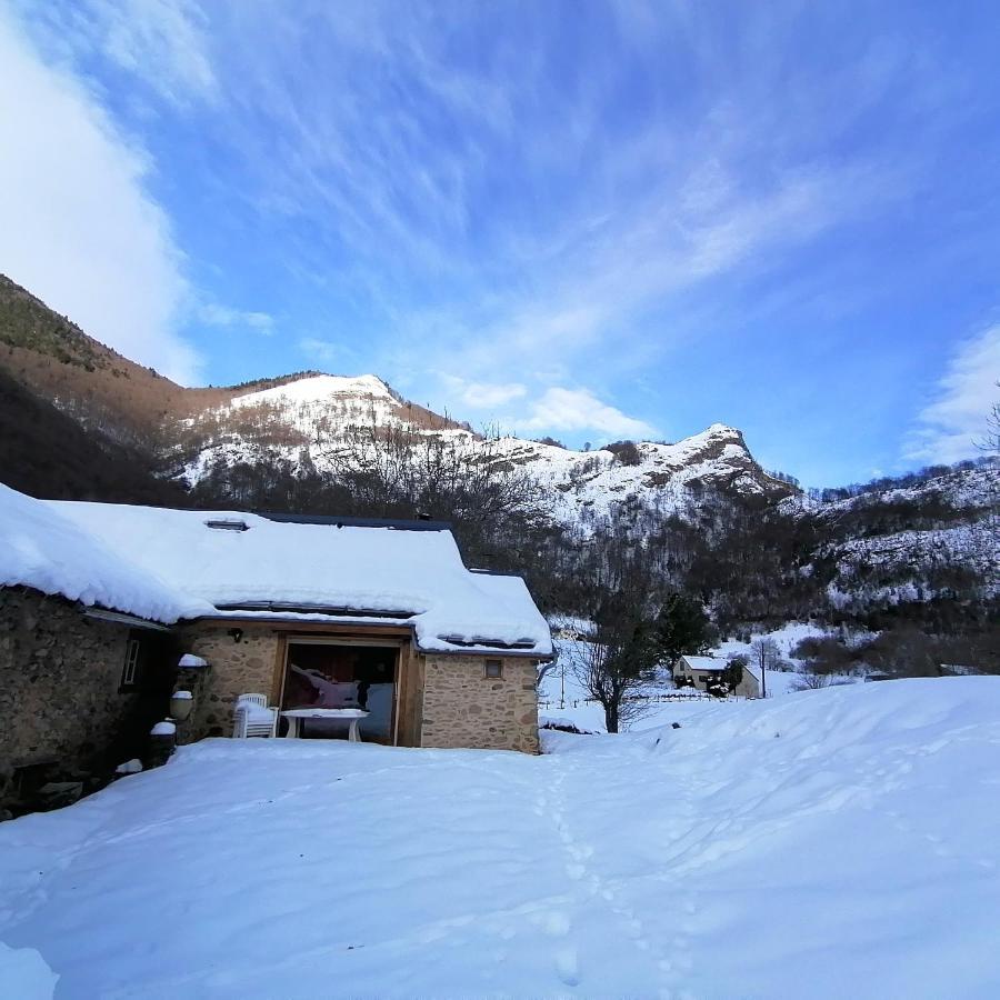 Lou Cridade Villa Laruns Dış mekan fotoğraf